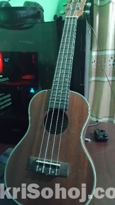 Ukulele